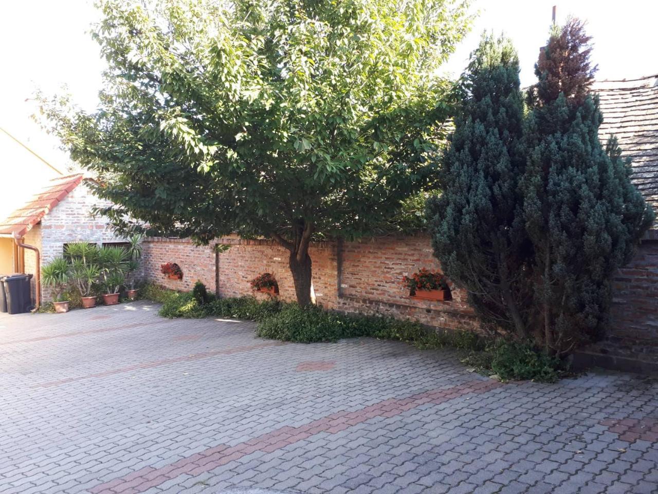 Eckhardt Vendégház Villány Extérieur photo